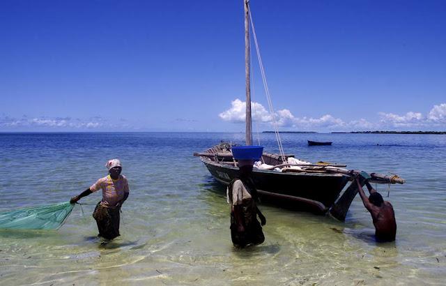 Islas nuestras de cada día