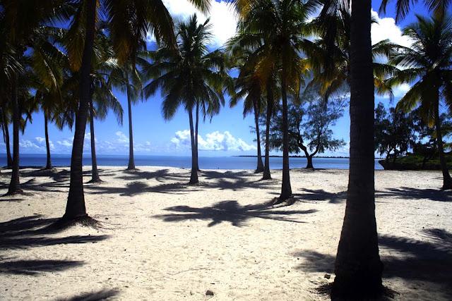 Islas nuestras de cada día