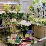 M1332179153224914_7 M1332179153224914_7