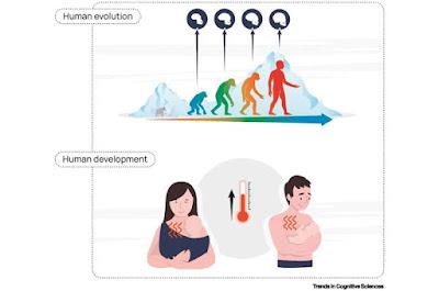 ¿Porqué los abrazos cálidos nos hacen sentir tan bien? ¿Porqué los abrazos cálidos nos hacen sentir tan bien?
