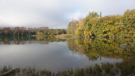 Ruta circular por los Estanques de Graugés: el Estany Gran, los Estanyols, la Font de Sant Ramon | El Berguedà Ruta circular por los Estanques de Graugés: el Estany Gran, los Estanyols, la Font de Sant Ramon | El Berguedà