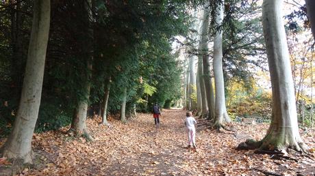 Ruta circular por los Estanques de Graugés: el Estany Gran, los Estanyols, la Font de Sant Ramon | El Berguedà Ruta circular por los Estanques de Graugés: el Estany Gran, los Estanyols, la Font de Sant Ramon | El Berguedà