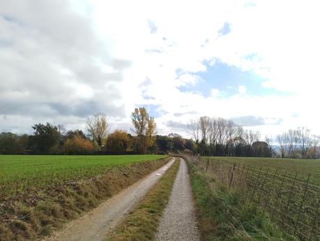 Ruta circular por los Estanques de Graugés: el Estany Gran, los Estanyols, la Font de Sant Ramon | El Berguedà Ruta circular por los Estanques de Graugés: el Estany Gran, los Estanyols, la Font de Sant Ramon | El Berguedà
