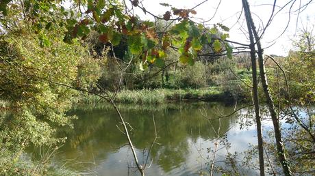 Ruta circular por los Estanques de Graugés: el Estany Gran, los Estanyols, la Font de Sant Ramon | El Berguedà Ruta circular por los Estanques de Graugés: el Estany Gran, los Estanyols, la Font de Sant Ramon | El Berguedà