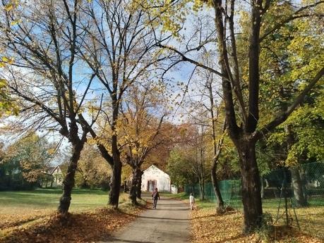 Ruta circular por los Estanques de Graugés: el Estany Gran, los Estanyols, la Font de Sant Ramon | El Berguedà Ruta circular por los Estanques de Graugés: el Estany Gran, los Estanyols, la Font de Sant Ramon | El Berguedà