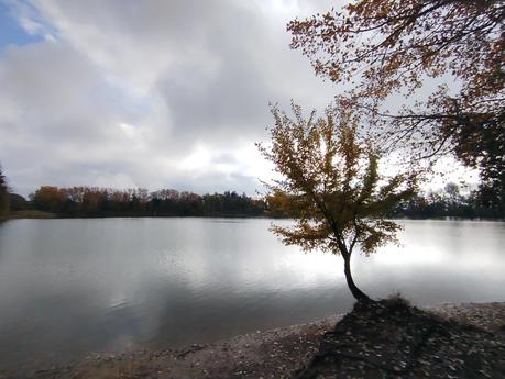 Ruta circular por los Estanques de Graugés: el Estany Gran, los Estanyols, la Font de Sant Ramon | El Berguedà Ruta circular por los Estanques de Graugés: el Estany Gran, los Estanyols, la Font de Sant Ramon | El Berguedà