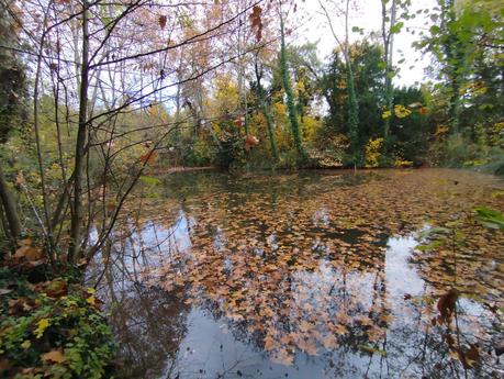Ruta circular por los Estanques de Graugés: el Estany Gran, los Estanyols, la Font de Sant Ramon | El Berguedà Ruta circular por los Estanques de Graugés: el Estany Gran, los Estanyols, la Font de Sant Ramon | El Berguedà