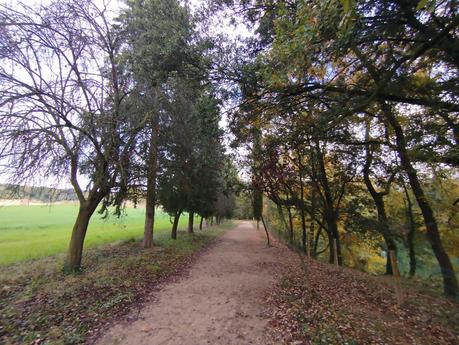 Ruta circular por los Estanques de Graugés: el Estany Gran, los Estanyols, la Font de Sant Ramon | El Berguedà Ruta circular por los Estanques de Graugés: el Estany Gran, los Estanyols, la Font de Sant Ramon | El Berguedà