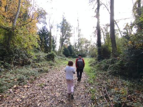 Ruta circular por los Estanques de Graugés: el Estany Gran, los Estanyols, la Font de Sant Ramon | El Berguedà Ruta circular por los Estanques de Graugés: el Estany Gran, los Estanyols, la Font de Sant Ramon | El Berguedà