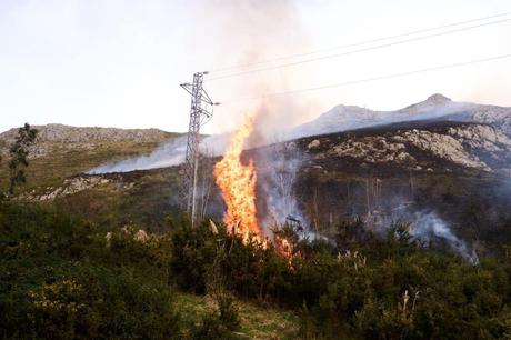 El fuego ha arrasado 353.307,1 hectáreas en España en 2025, siete veces más que el año pasado