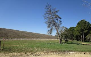 La escombrera de Andújar