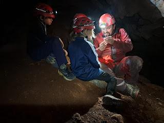 Investigación y catálogo: ACTUALIZAMOS