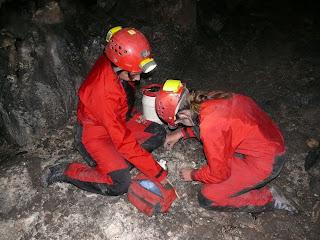 Investigación y catálogo: ACTUALIZAMOS