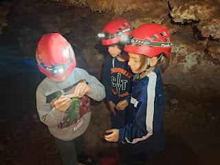 Investigación y catálogo: ACTUALIZAMOS