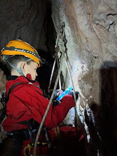 Investigación y catálogo: ACTUALIZAMOS