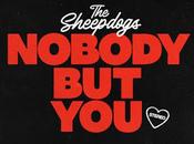 Sheepdogs Nobody (2025)