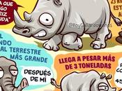 animales grandes