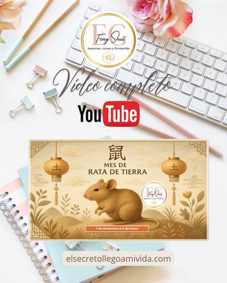 Vídeo mes de la Rata 🐀