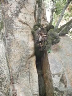 Milagros de la Calle Milagros de la Calle