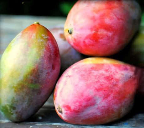 Alimentos que protegen y mejoran tu salud visual de forma natural