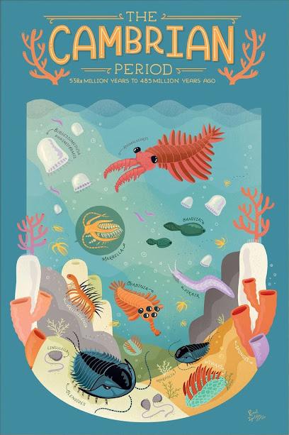 Un viaje al Paleozoico y al Mesozoico con Rachel Ignotofsky Un viaje al Paleozoico y al Mesozoico con Rachel Ignotofsky