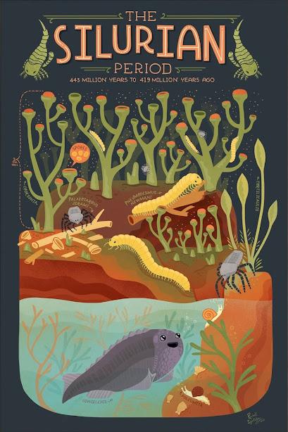 Un viaje al Paleozoico y al Mesozoico con Rachel Ignotofsky Un viaje al Paleozoico y al Mesozoico con Rachel Ignotofsky