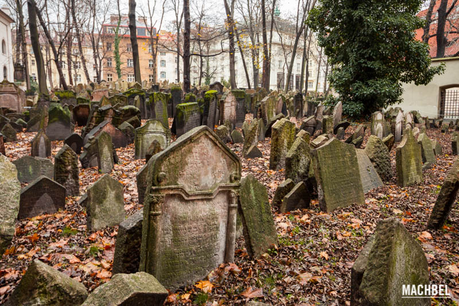 Ante la muerte de Frank Gehry