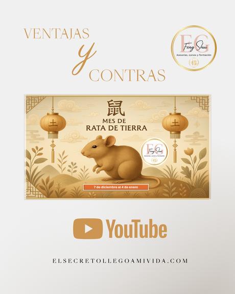 😍Energías mes de diciembre de la Rata de Tierra