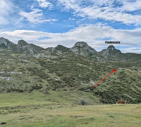 Cabeza Pandescura desde Canales