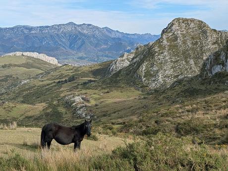 Cabeza Pandescura desde Canales