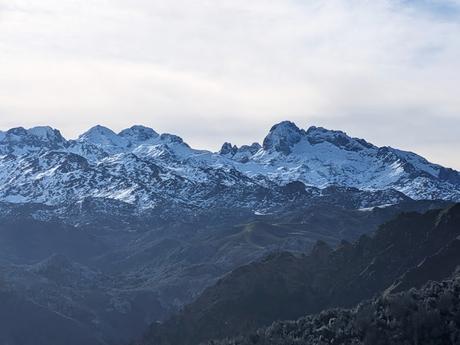Cabeza Pandescura desde Canales