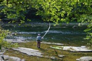 Las reservas de Entrepeñas y Buendía caen 12,11 hectómetros y acumulan 1.275,05, el 50,63% de su capacidad
