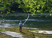 información pública durante días borrador orden vedas pesca para 2026 C-LM