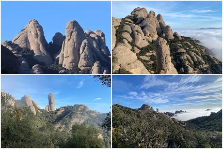 Acentores anillados en Montserrat Acentores anillados en Montserrat