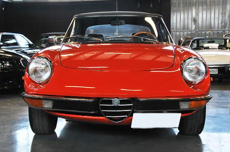 Alfa Romeo Spider Alfa Romeo Spider