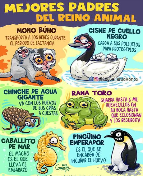 Mejores padres del reino animal