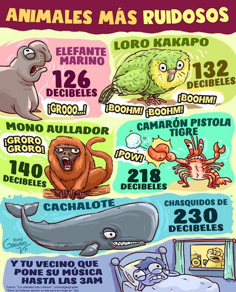 Animales mĂĄs ruidosos Animales mĂĄs ruidosos