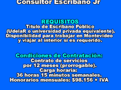 Consultor Escribano