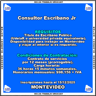 Consultor Escribano Jr Consultor Escribano Jr