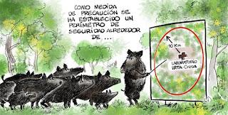 DE LAS VIÑETAS DE HUMOR DEL BLOG. ESPECIAL 1 DE HOY DOMINGO, 14 DE DICIEMBRE DE 2025 DE LAS VIÑETAS DE HUMOR DEL BLOG. ESPECIAL 1 DE HOY DOMINGO, 14 DE DICIEMBRE DE 2025