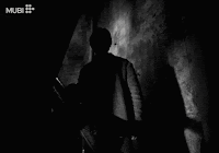 Cinecritica: La Chica de la Aguja