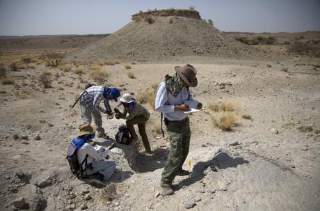 NUEVOS HALLAZGOS PALEONTOLÓGICOS NUEVOS HALLAZGOS PALEONTOLÓGICOS