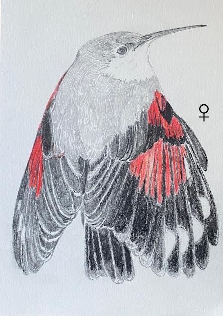 El Treparriscos: Un Encuentro en Montserrat