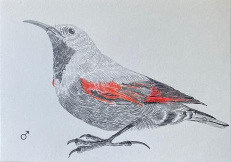 El Treparriscos: Un Encuentro en Montserrat