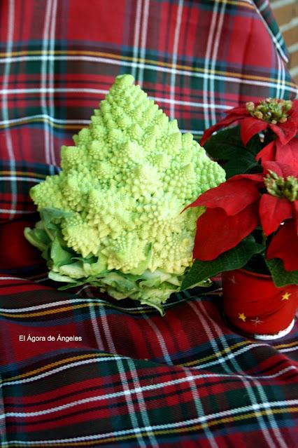 Romanescu con jamón  El Ágora de Ángeles