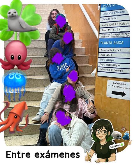Entre exĂĄmenes Entre exĂĄmenes