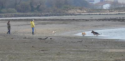 EL REGATÓN DE LAREDO