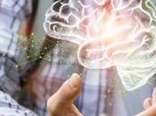 Obesidad deficiencia colina jóvenes: combinación castiga cerebro