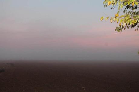 El Gobierno adjudica 34 nuevas ayudas de la segunda convocatoria del Perte Agro por 25 millones El Gobierno adjudica 34 nuevas ayudas de la segunda convocatoria del Perte Agro por 25 millones