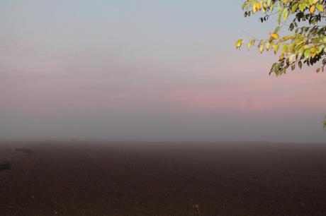 Guadalajara estará este miércoles en aviso por nieblas en las Parameras de Molina